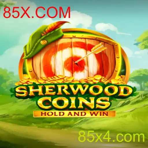 SherwoodCoins: Uma Jornada Através da Era Digital